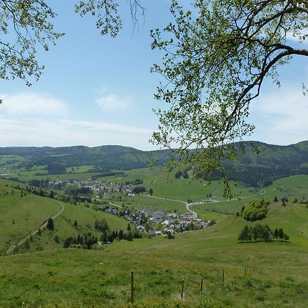 Апартаменты Wohnpark Schwarzwaldblick Bernau Экстерьер фото