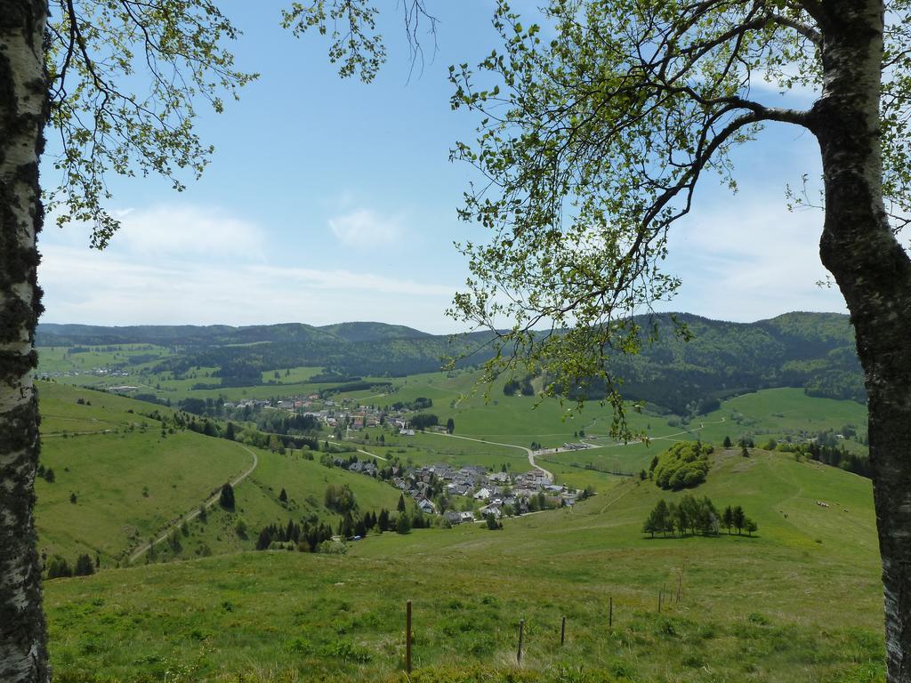 Апартаменты Wohnpark Schwarzwaldblick Bernau Экстерьер фото